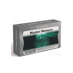 Master Memory